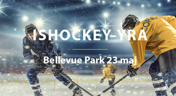 Hockey Startsida.